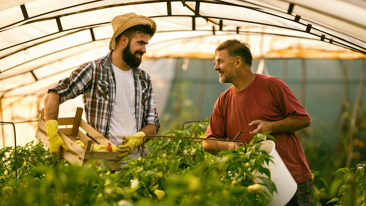 Two farmers